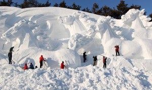 Horse Snow Sculpture