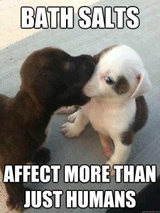 puppy bathsalts